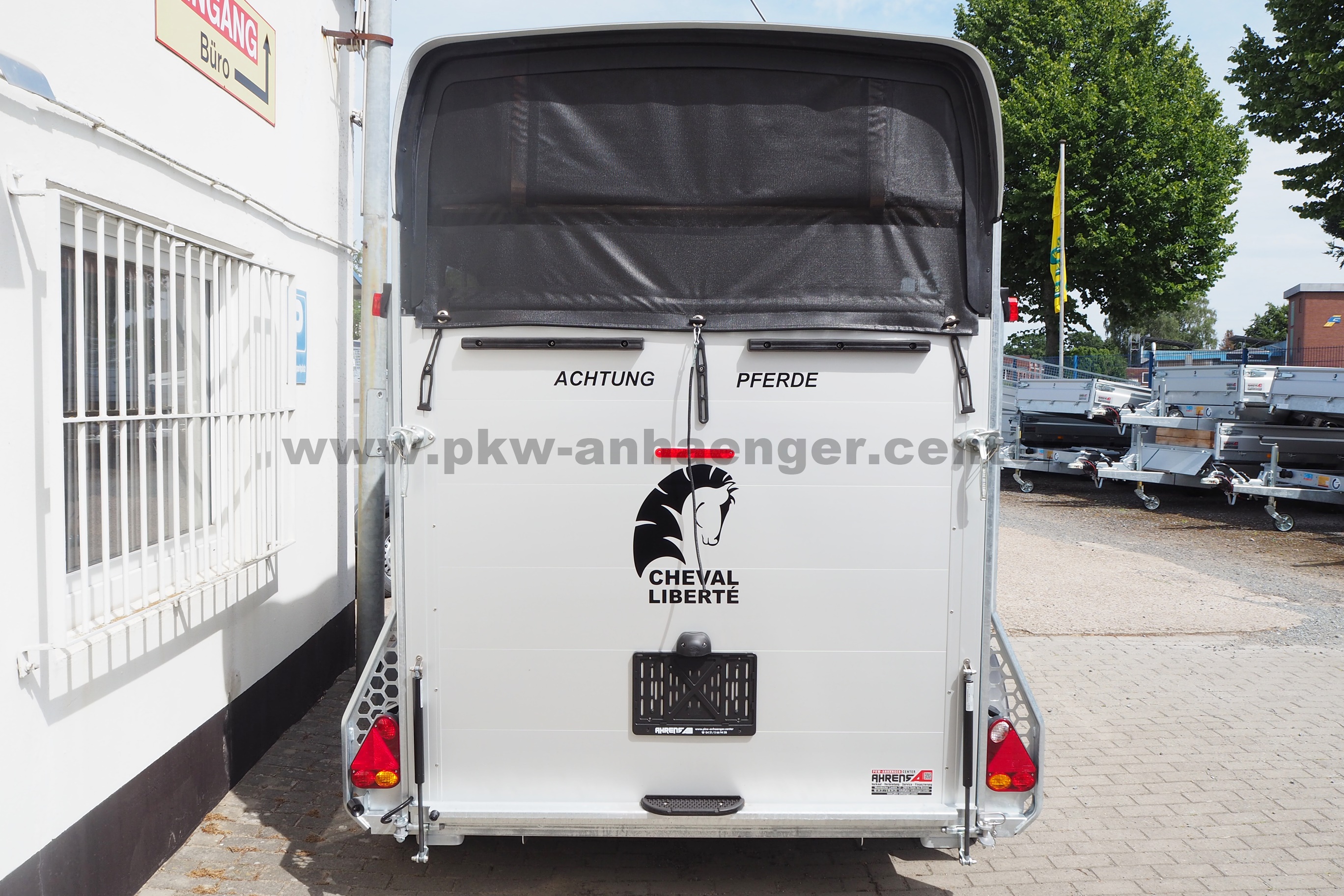 aCH-GOLD3-SK-dklgrau-4