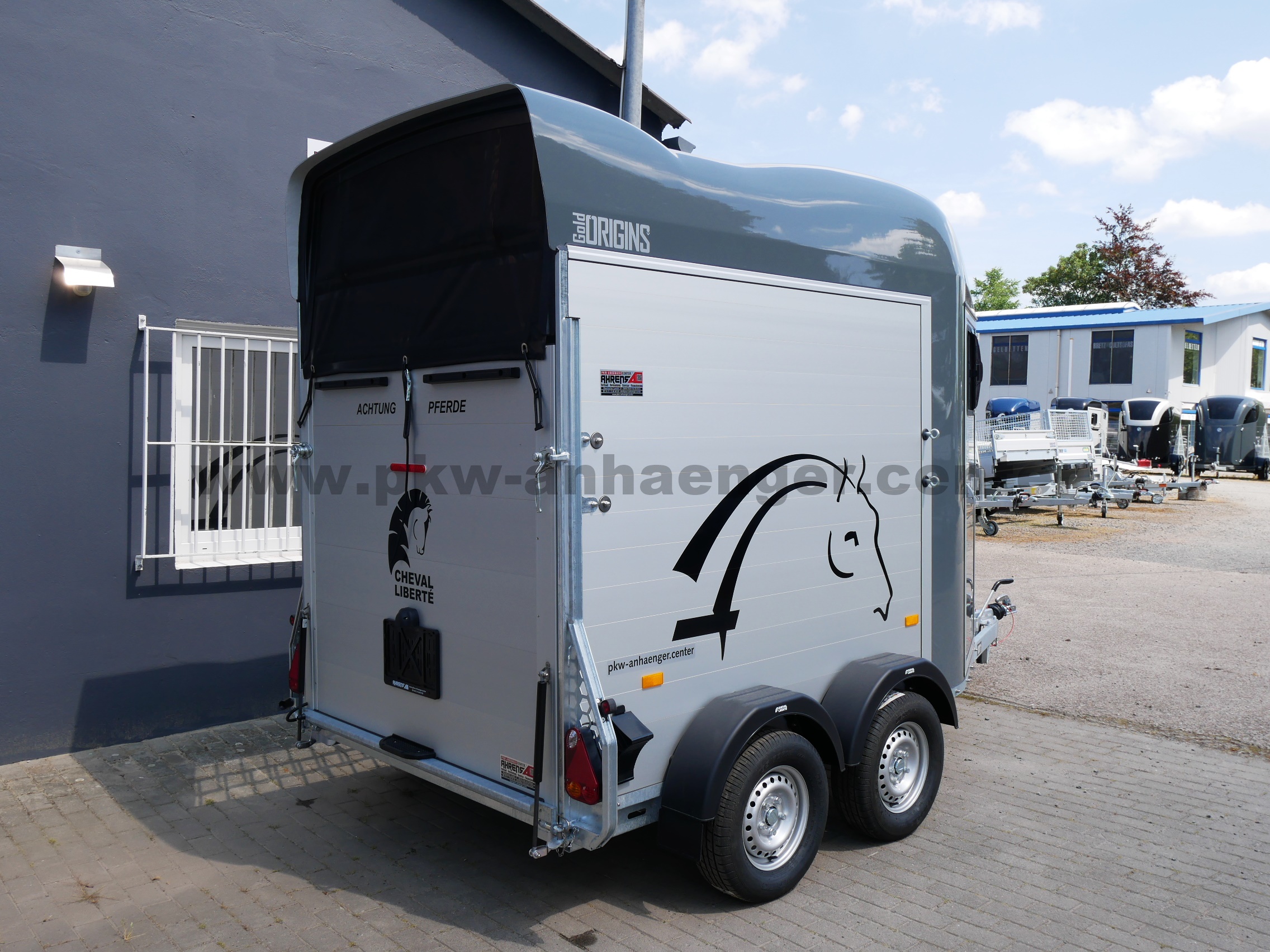 aCH-Gold-Origins-Alu-SK-grau-3