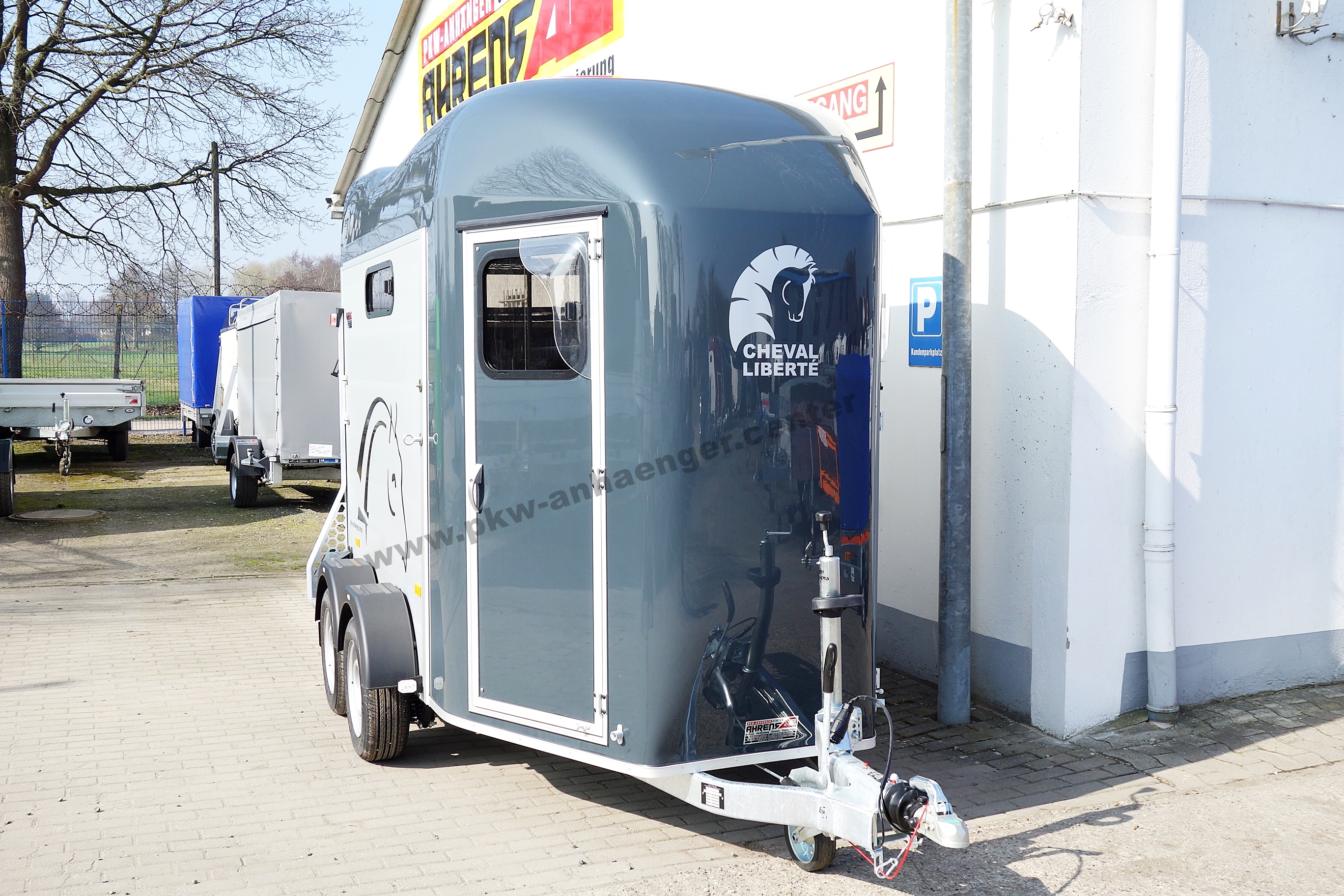 a-CH-Gold3-dklgrau-4