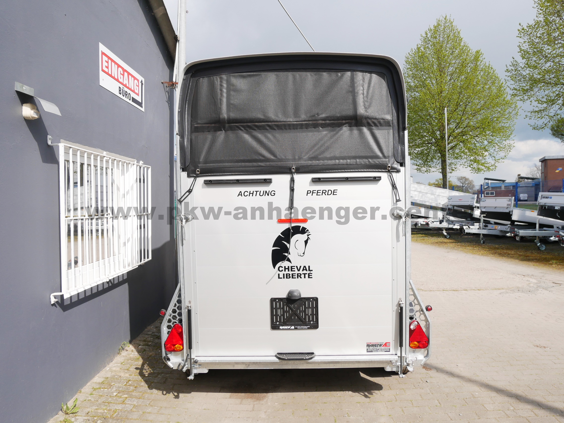 aCH-Gold-Origins-Alu-SK-gr-n-4